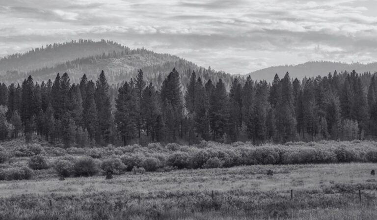 Idaho